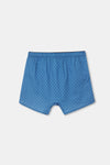 BLUE BOXER