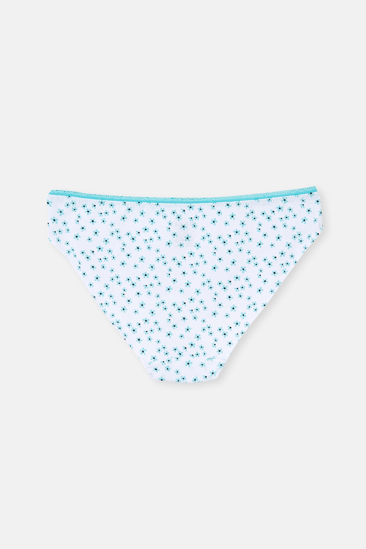 MINT PRINTED PANTY