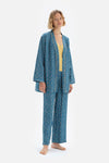 BLUE ROBE