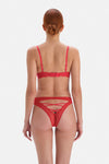 RED BRAZILLIAN