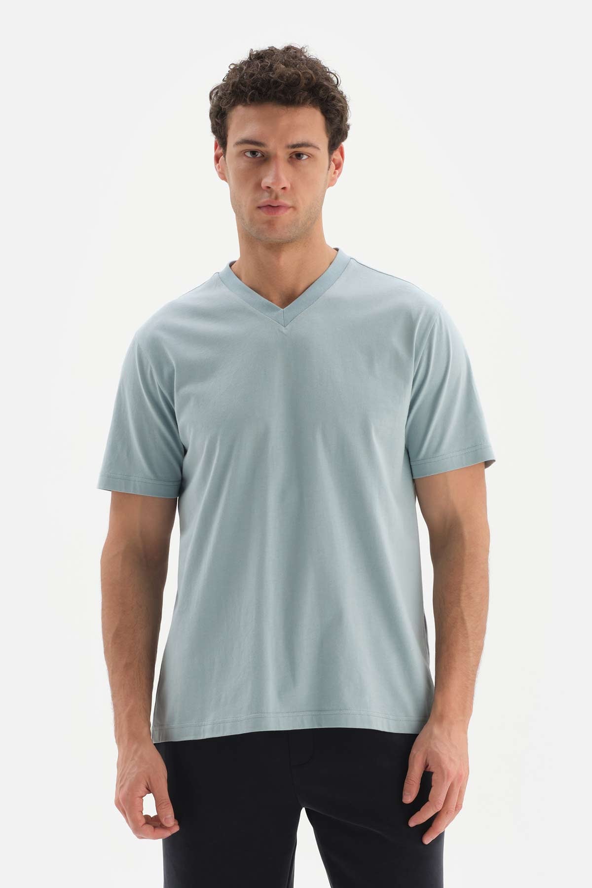 BLUE V-NECK BASIC SUPIMA T-SHIRT