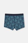 TEAL BOXER