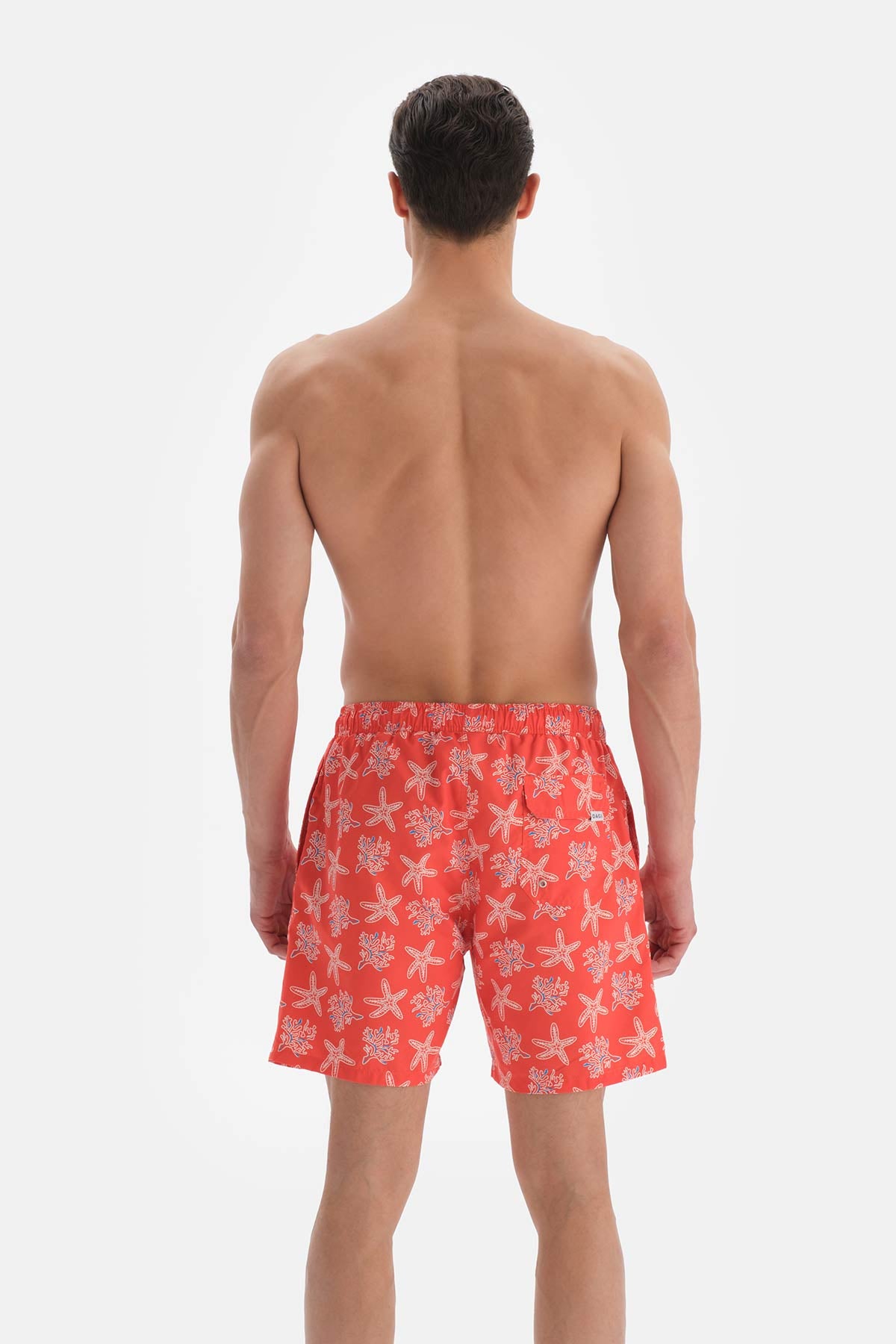 SALMON SHORTS