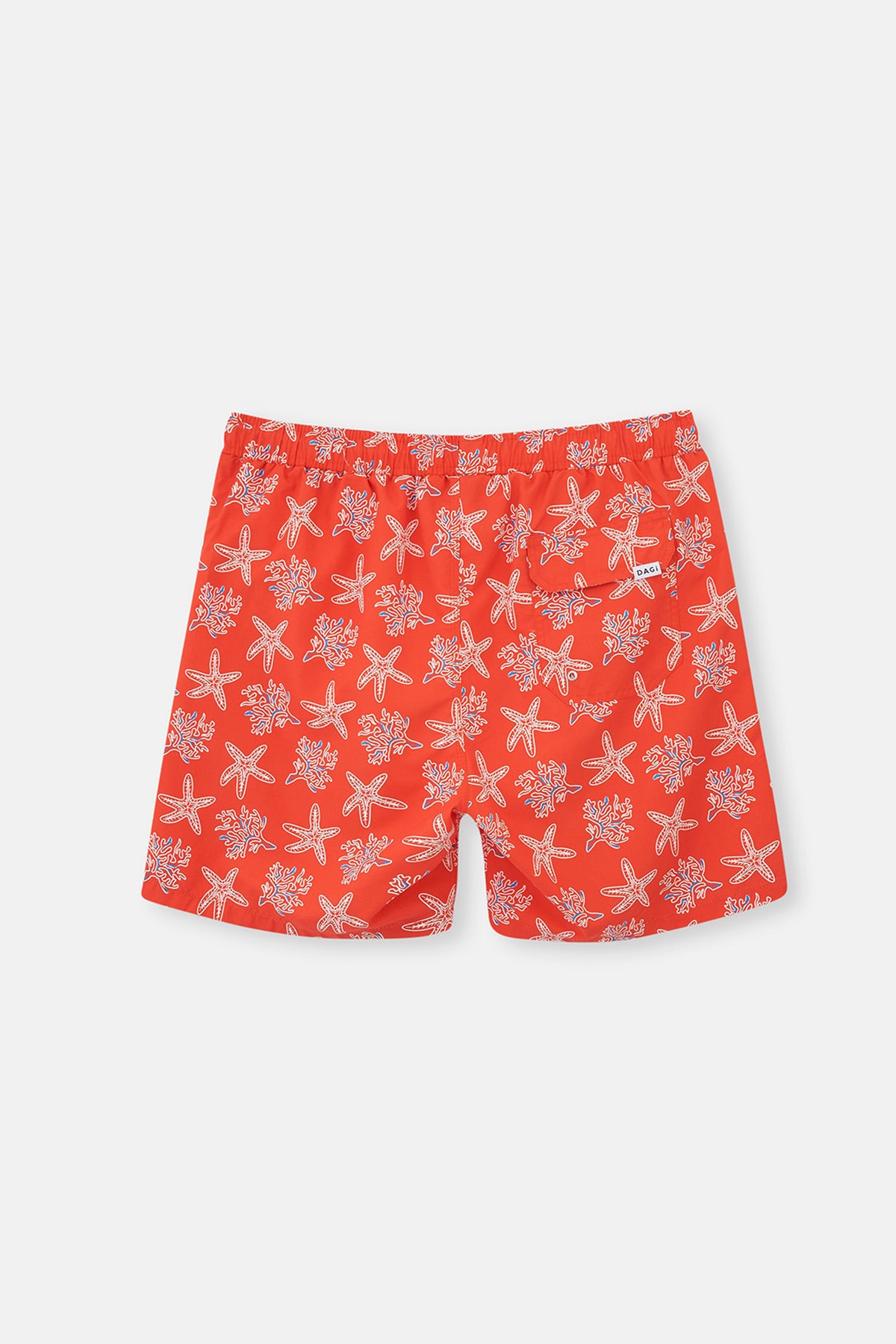SALMON SHORTS