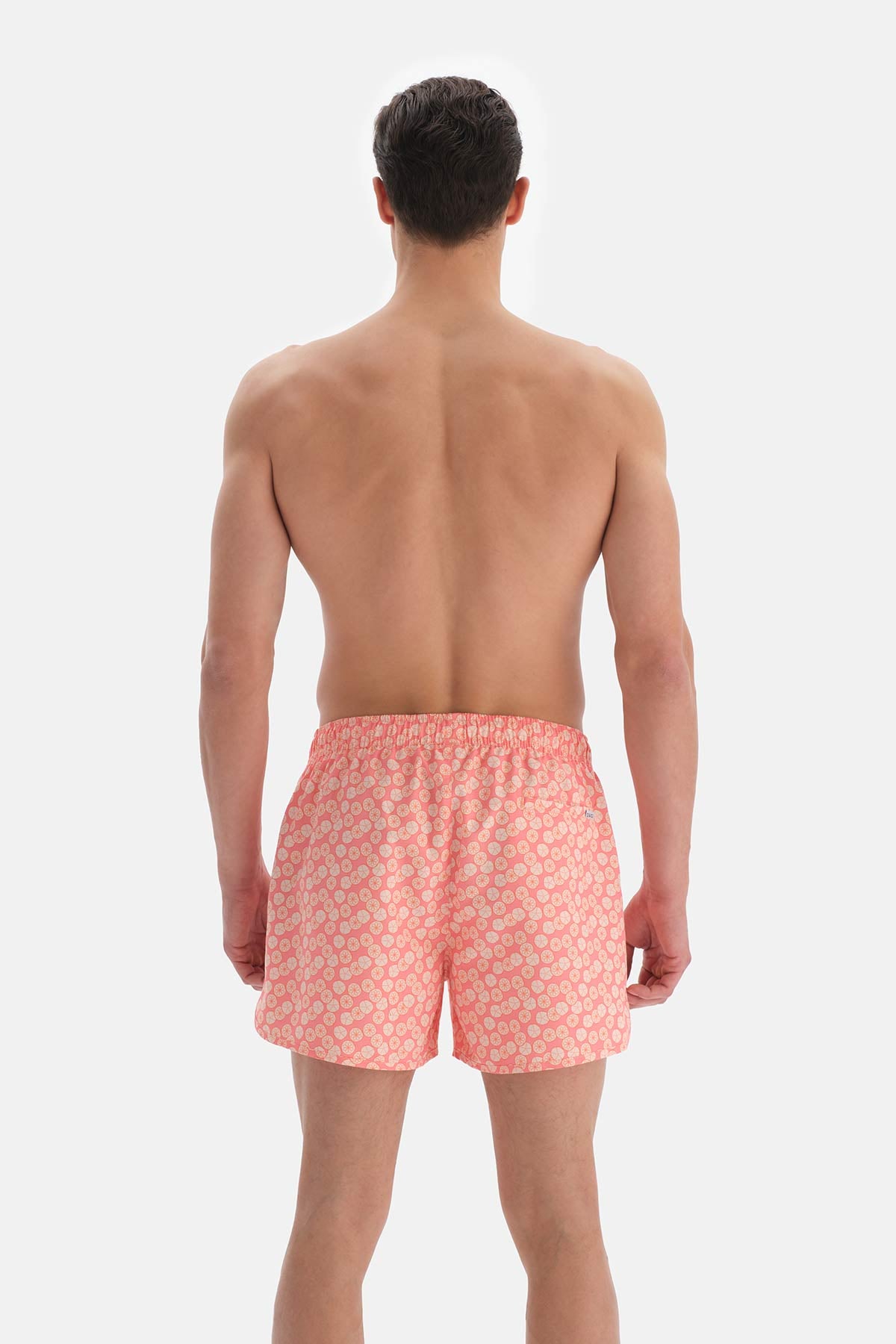 SALMON SHORTS