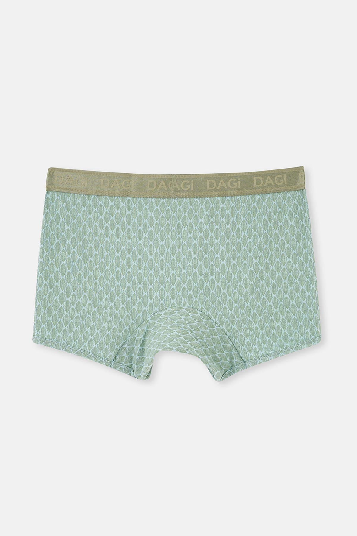 Light Khaki-Light Blue 4210 2-PACK PATTERNED MICRO MODAL BOXER