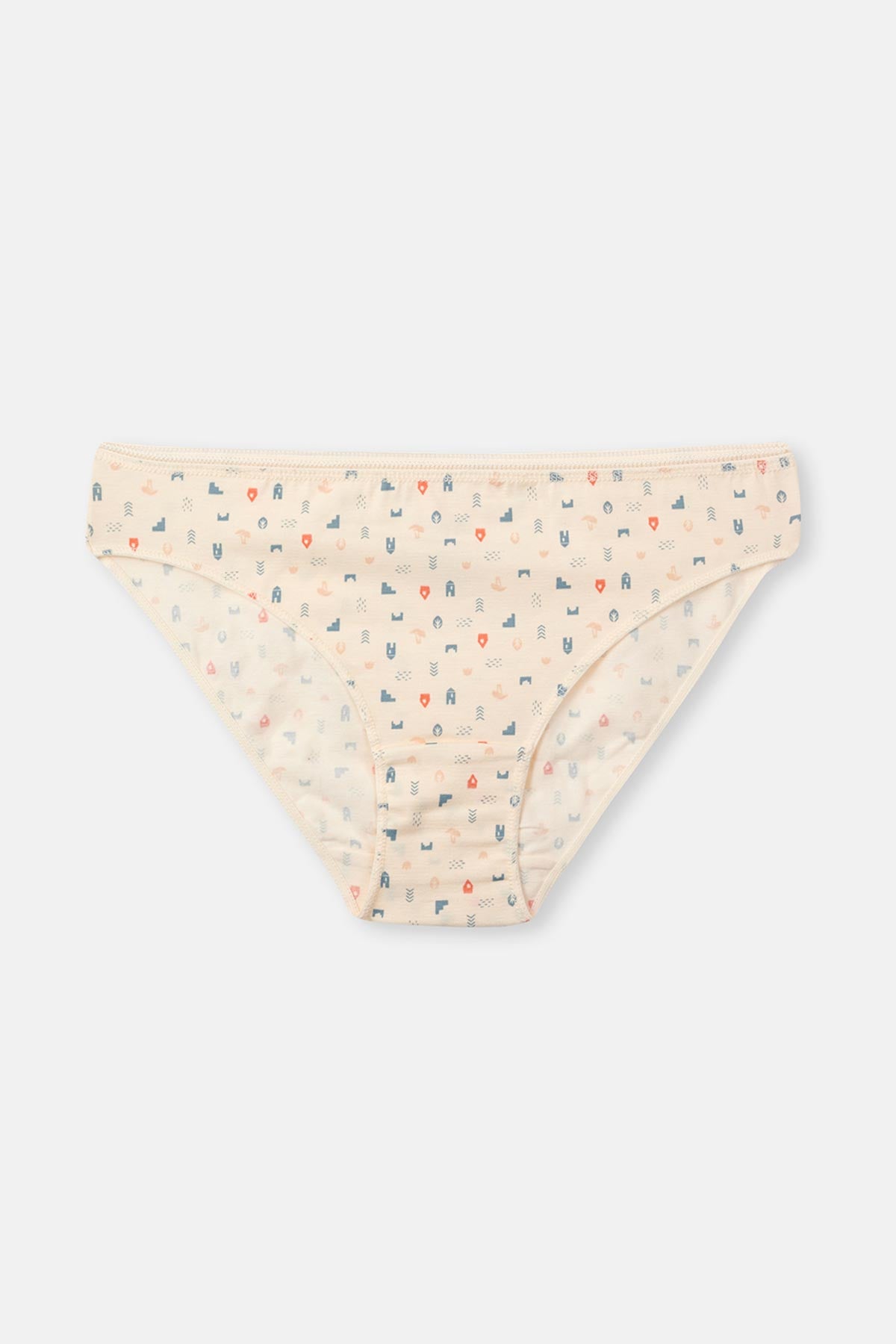 Ecru-Gray Blue-Powder 3-PACK PATTERNED BRIEF PANTIES