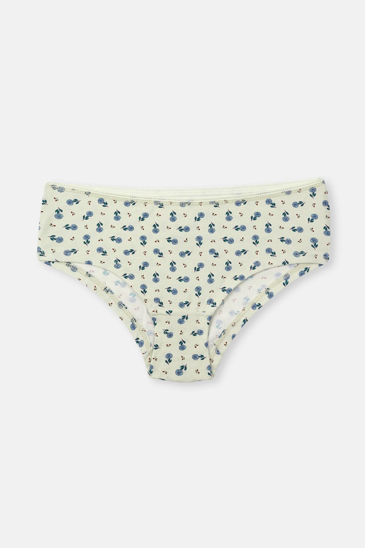 Rose Dust-Mint 3-PACK PATTERNED HIPSTER PANTIES