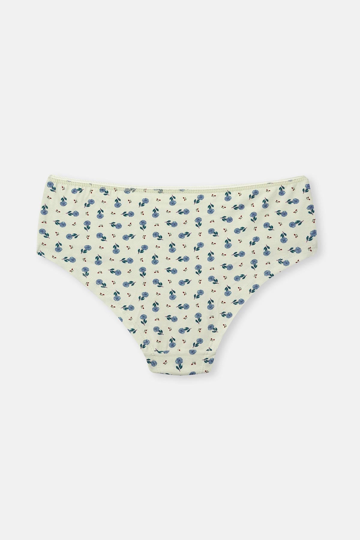 Rose Dust-Mint 3-PACK PATTERNED HIPSTER PANTIES