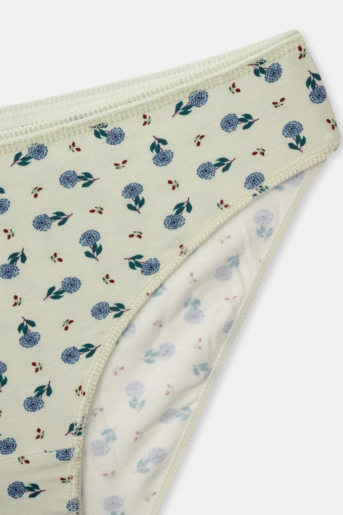 Gül Kurusu-Mint Kadın 3'lü Desenli Brief Külot