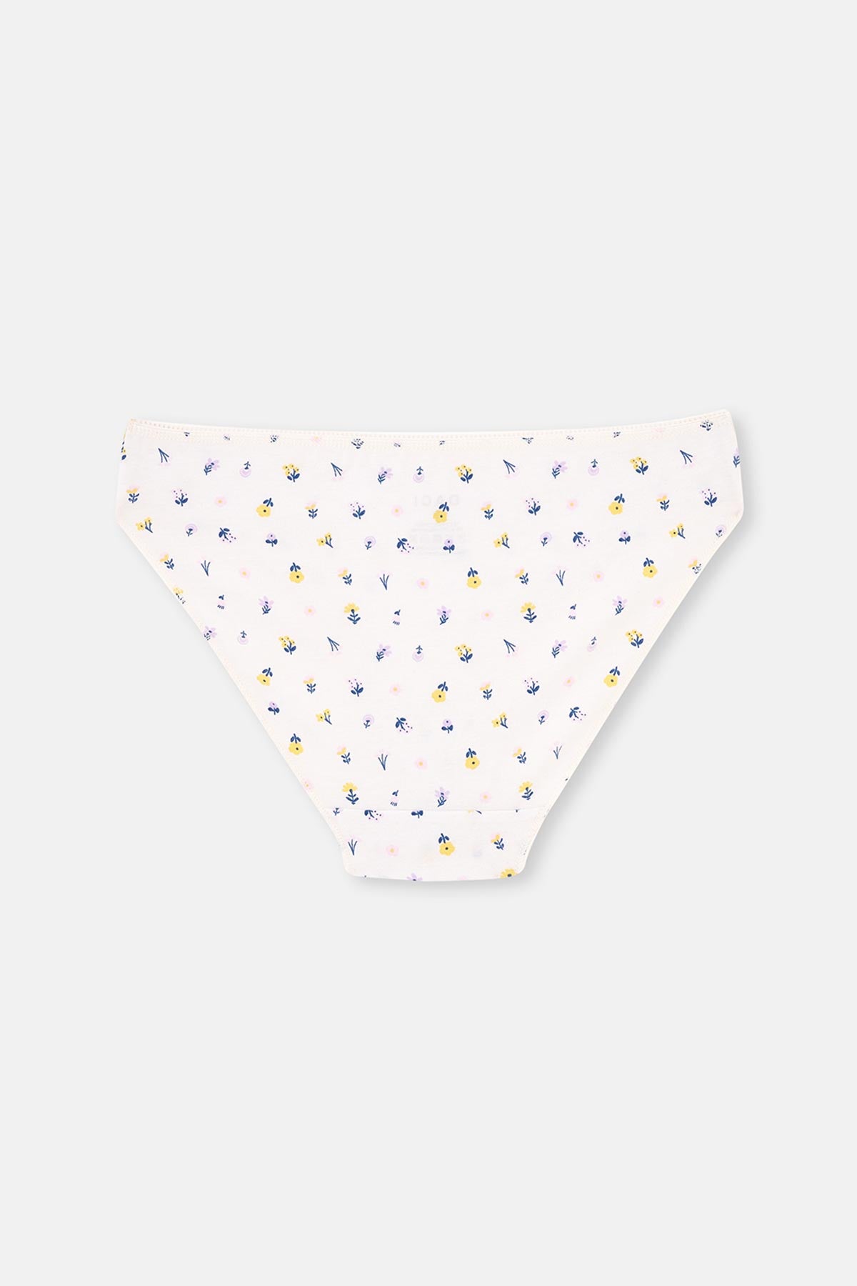 MULTICOLOR BRIEF