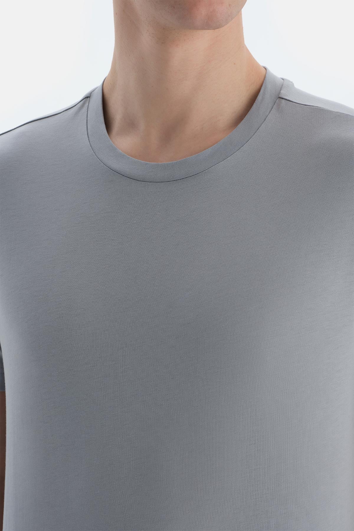 Gri Bisiklet Yaka Kısa Kollu Supima Tişört