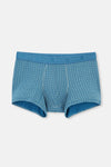 Blue-Green BOXER