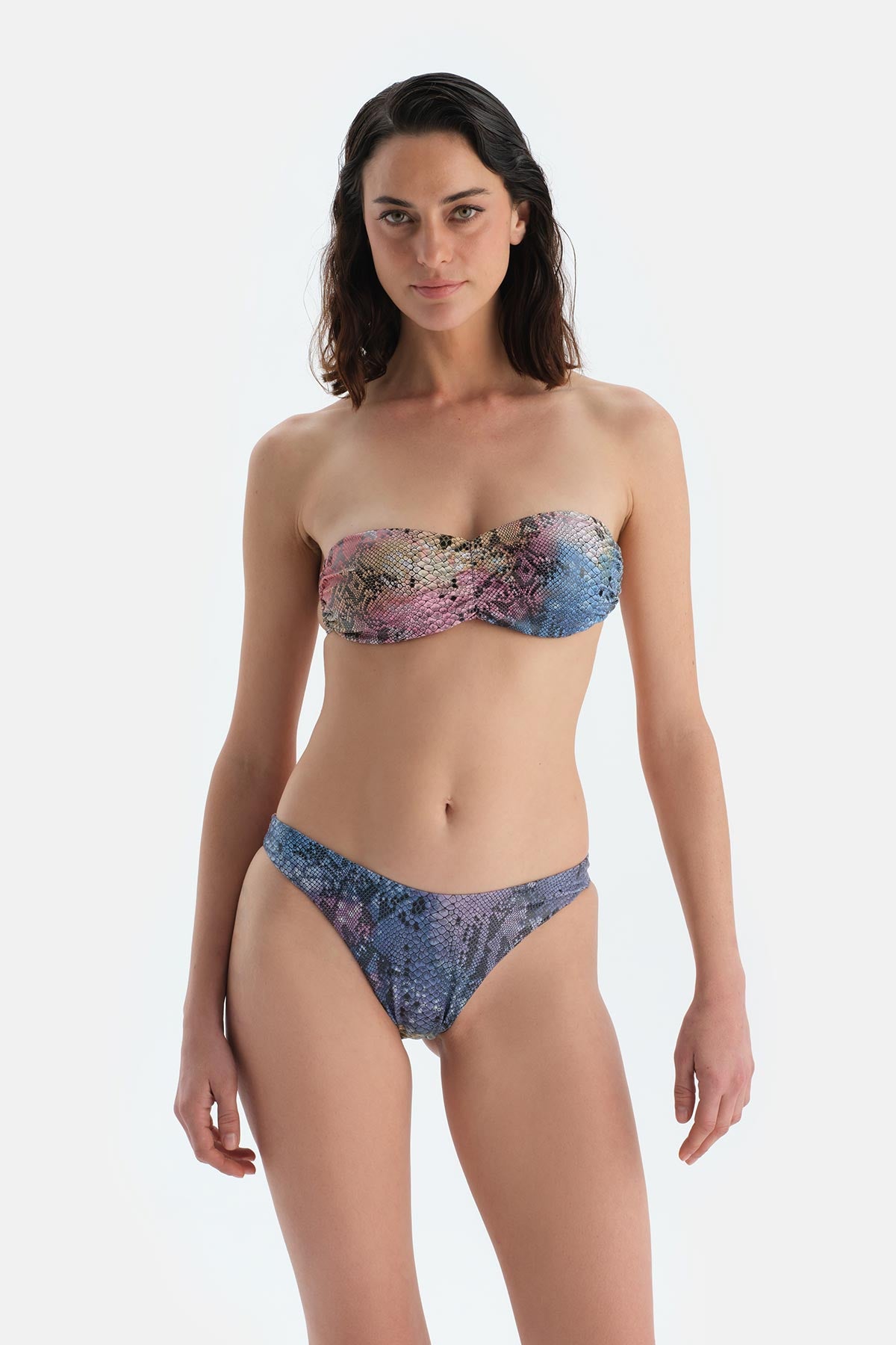 Multicolor Brazilian Bikini Alt