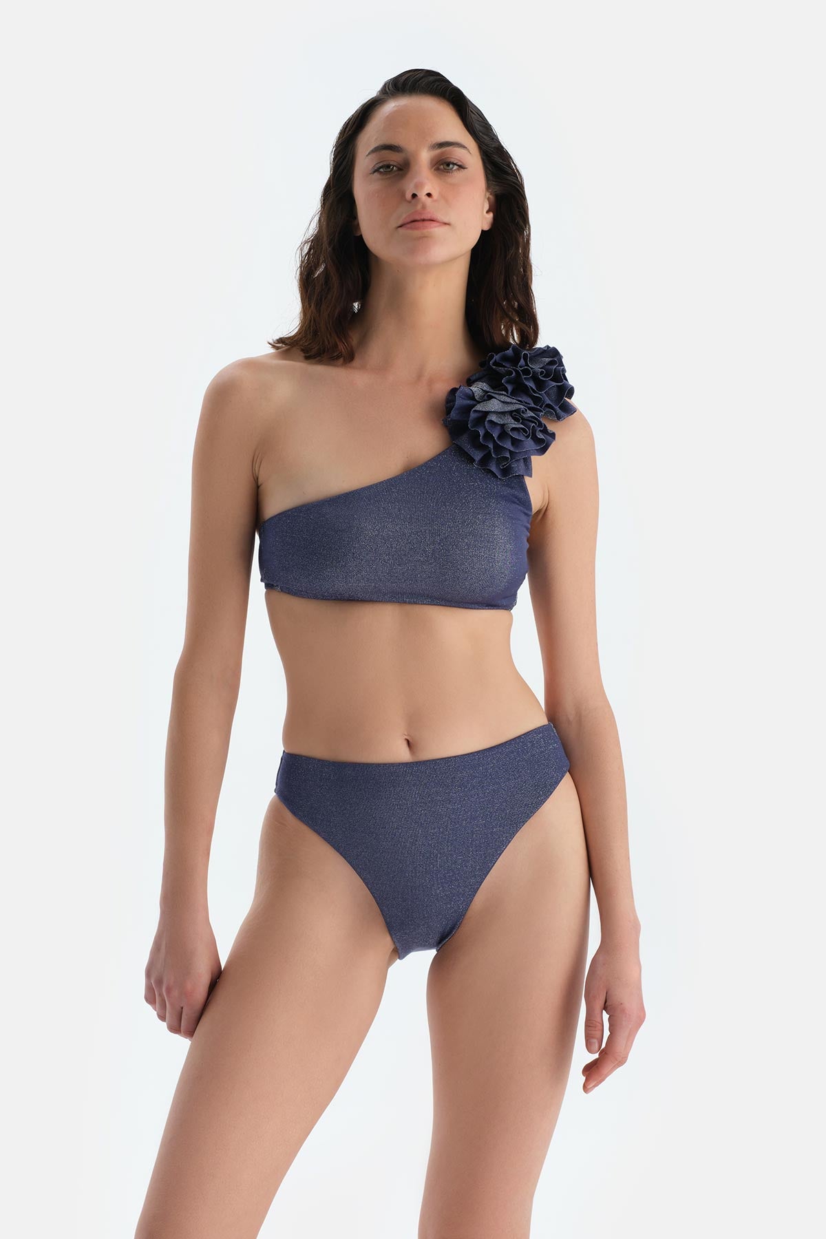 Mürdüm Yüksek Bel Bikini Alt