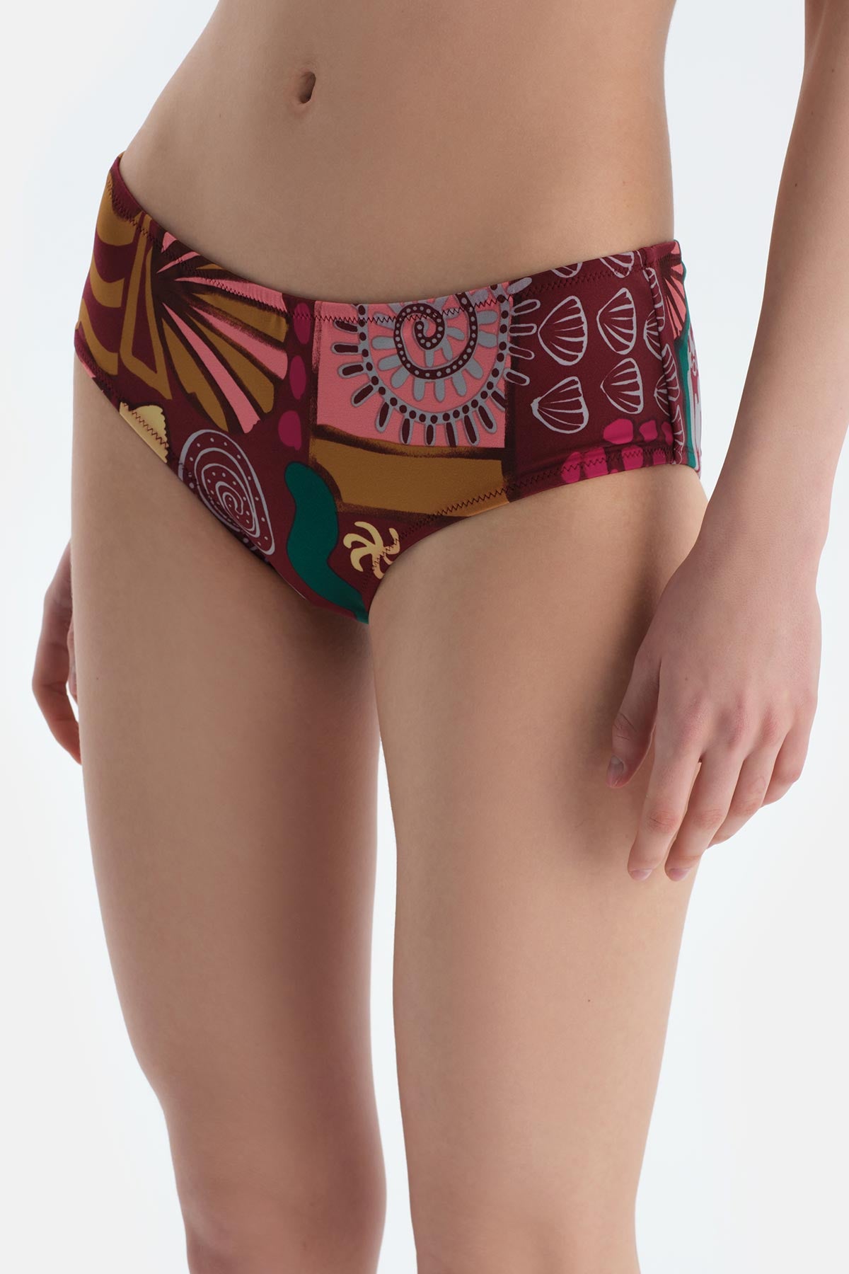 Multicolor Normal Bel Bikini Alt