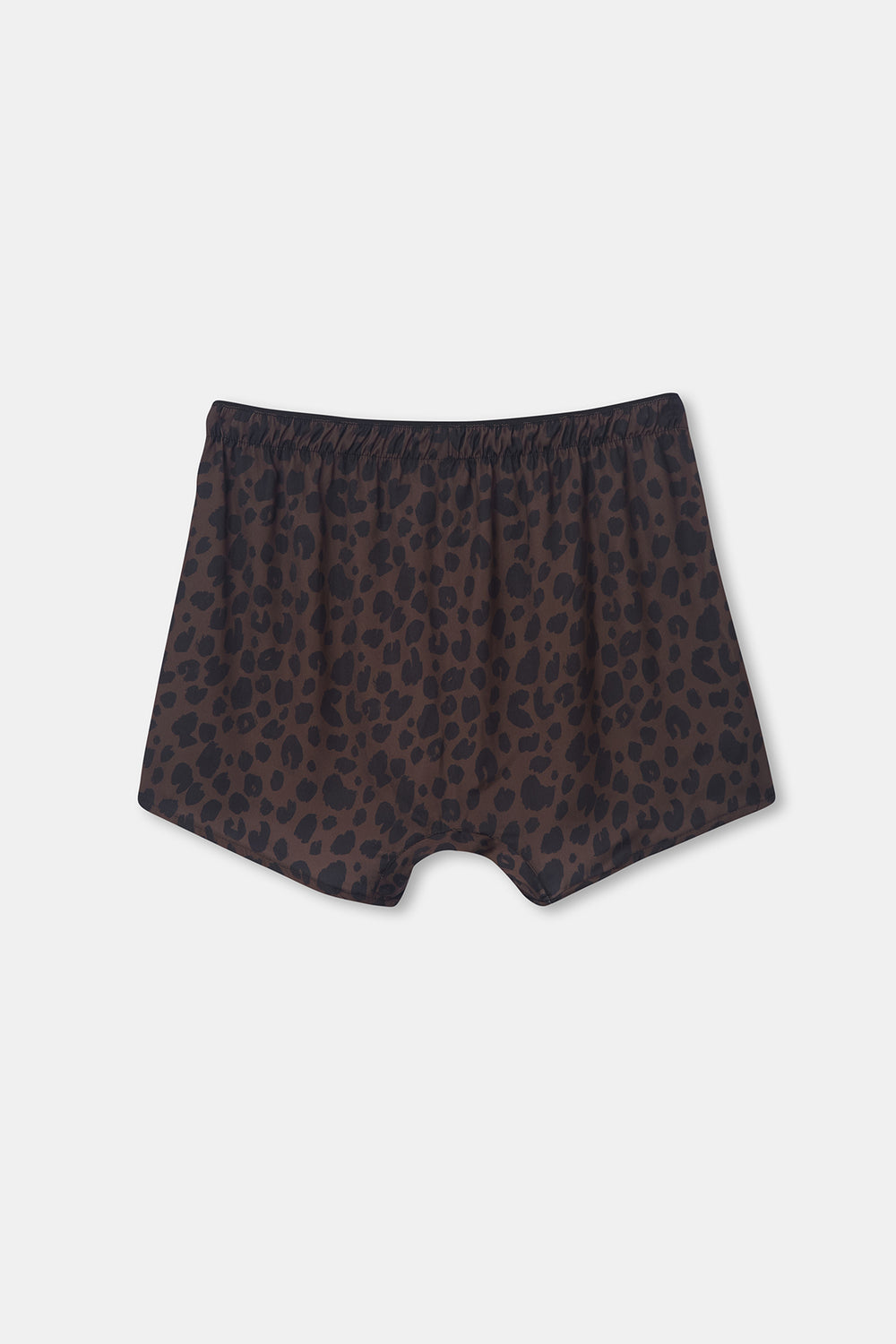 BROWN BOXER
