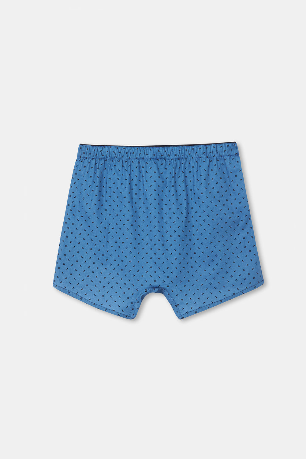 BLUE BOXER