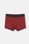 BORDEAUX BOXER
