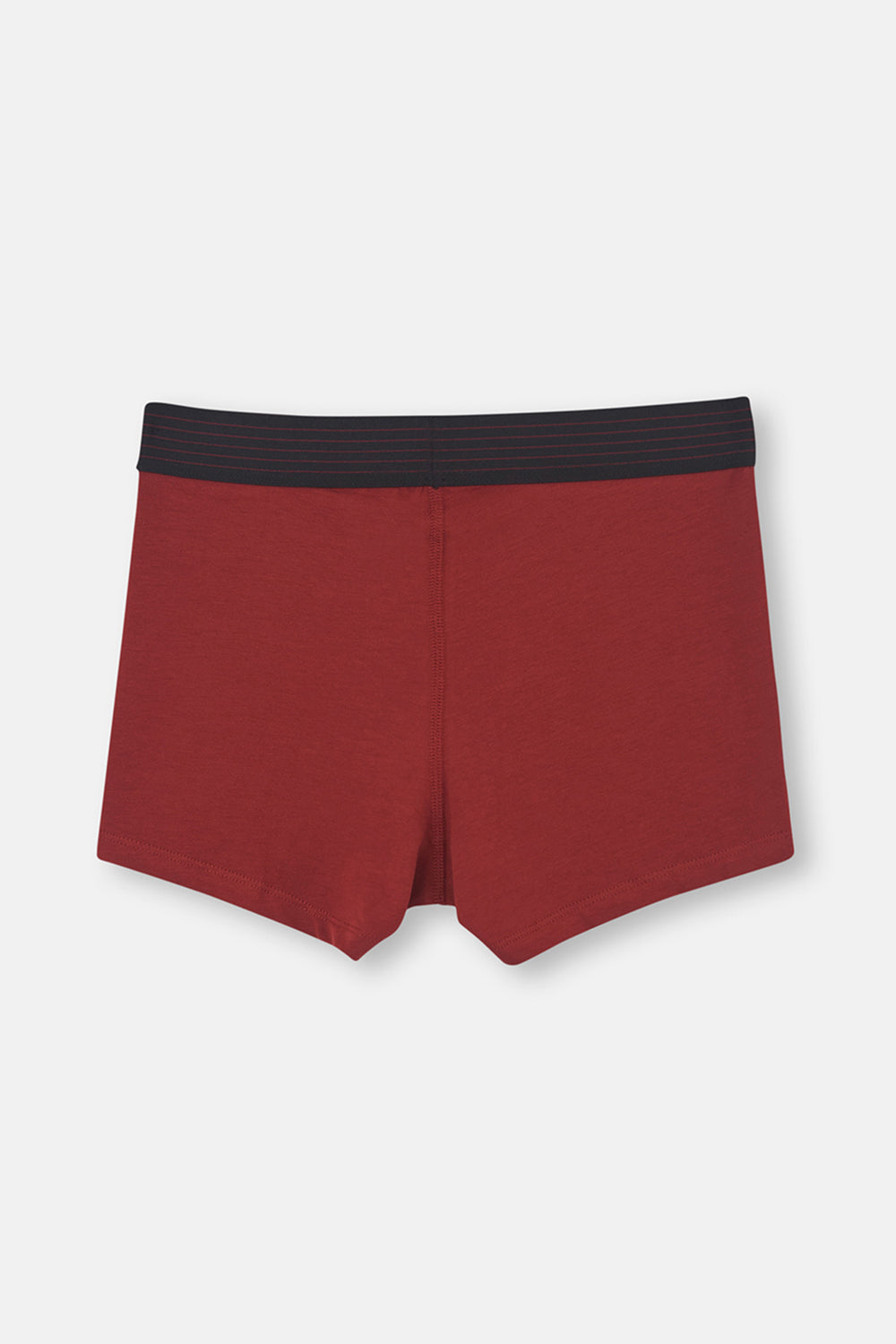 BORDEAUX BOXER
