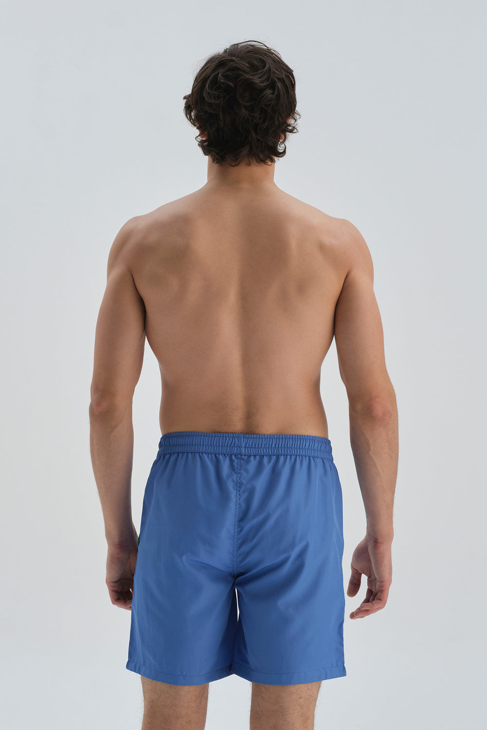 Mavi - Mint Yesili Micro Orta Düz Deniz Şortu