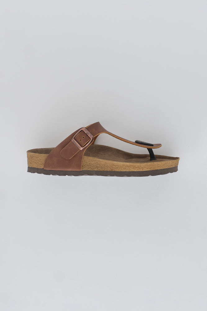 BROWN SLIPPER