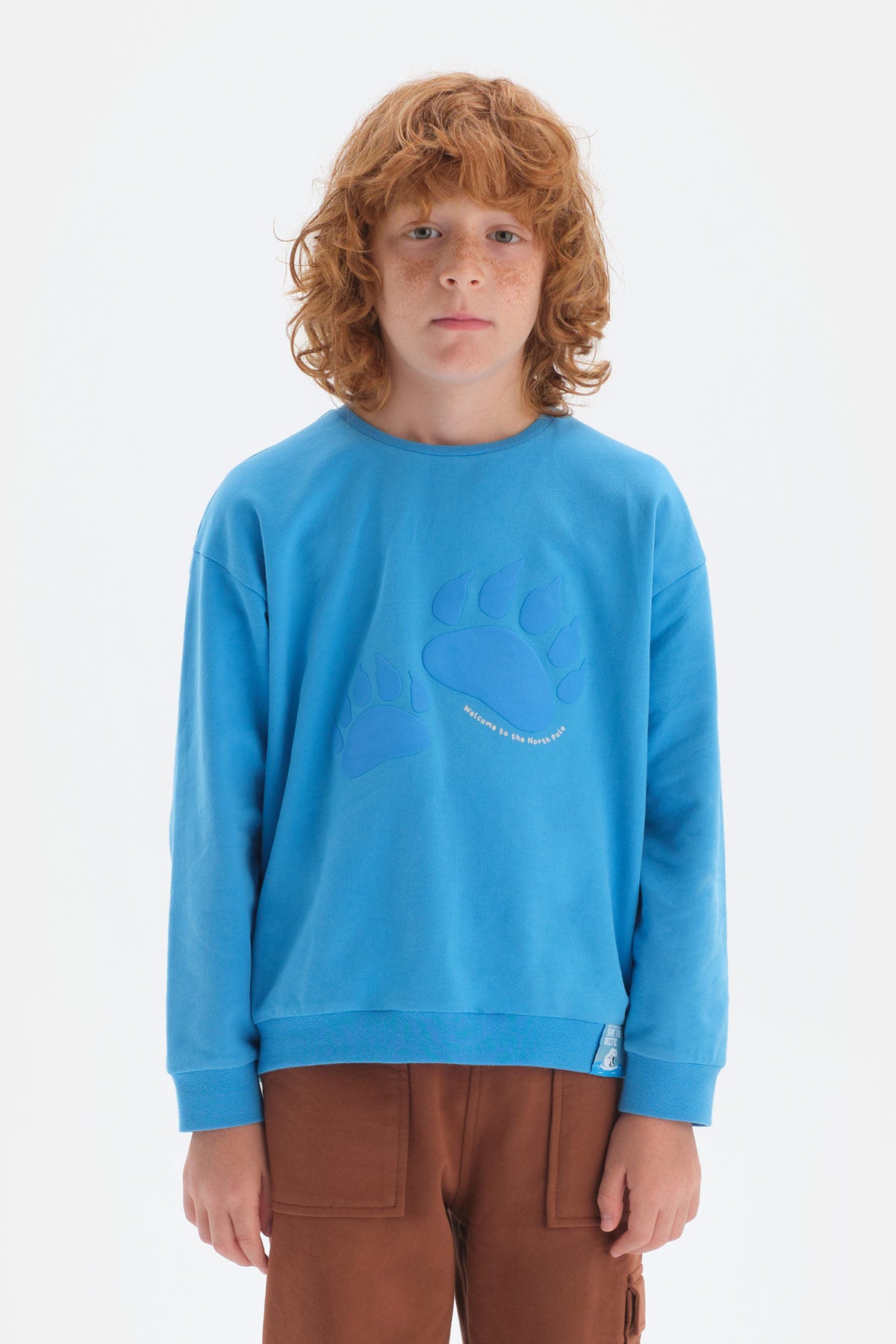 Mavi Erkek Çocuk Uzun Kol Bisiklet Yaka Pamuklu T-Shirt