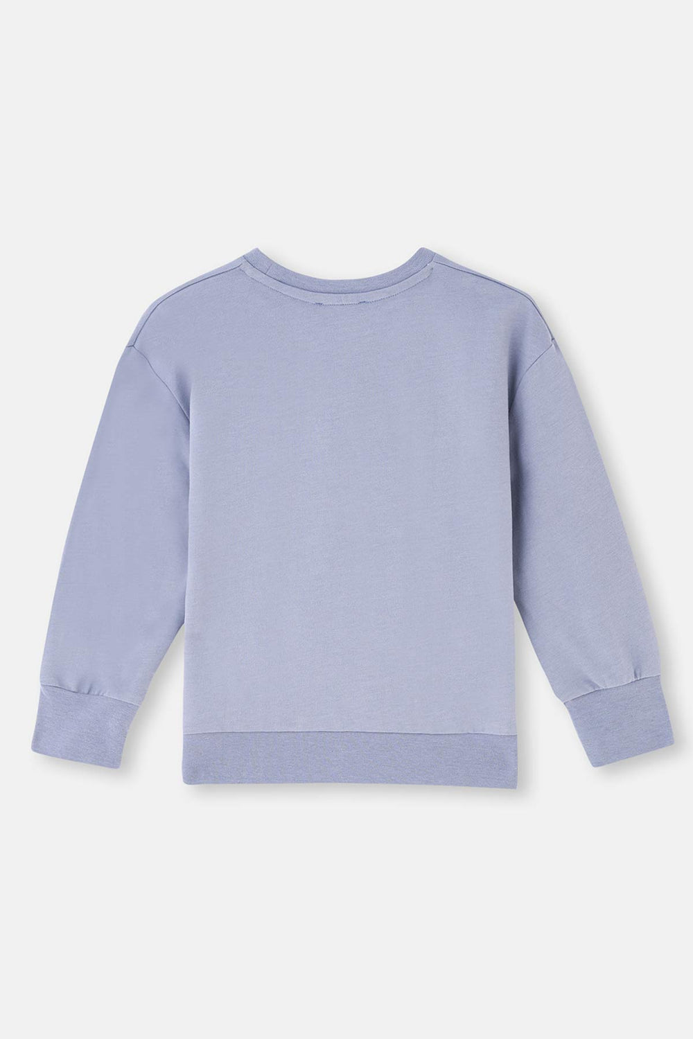 ICE BLUE SWEATSHIRT