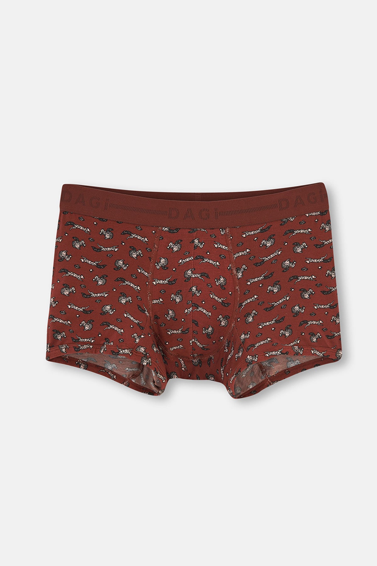 TERRACOTTA BOXER