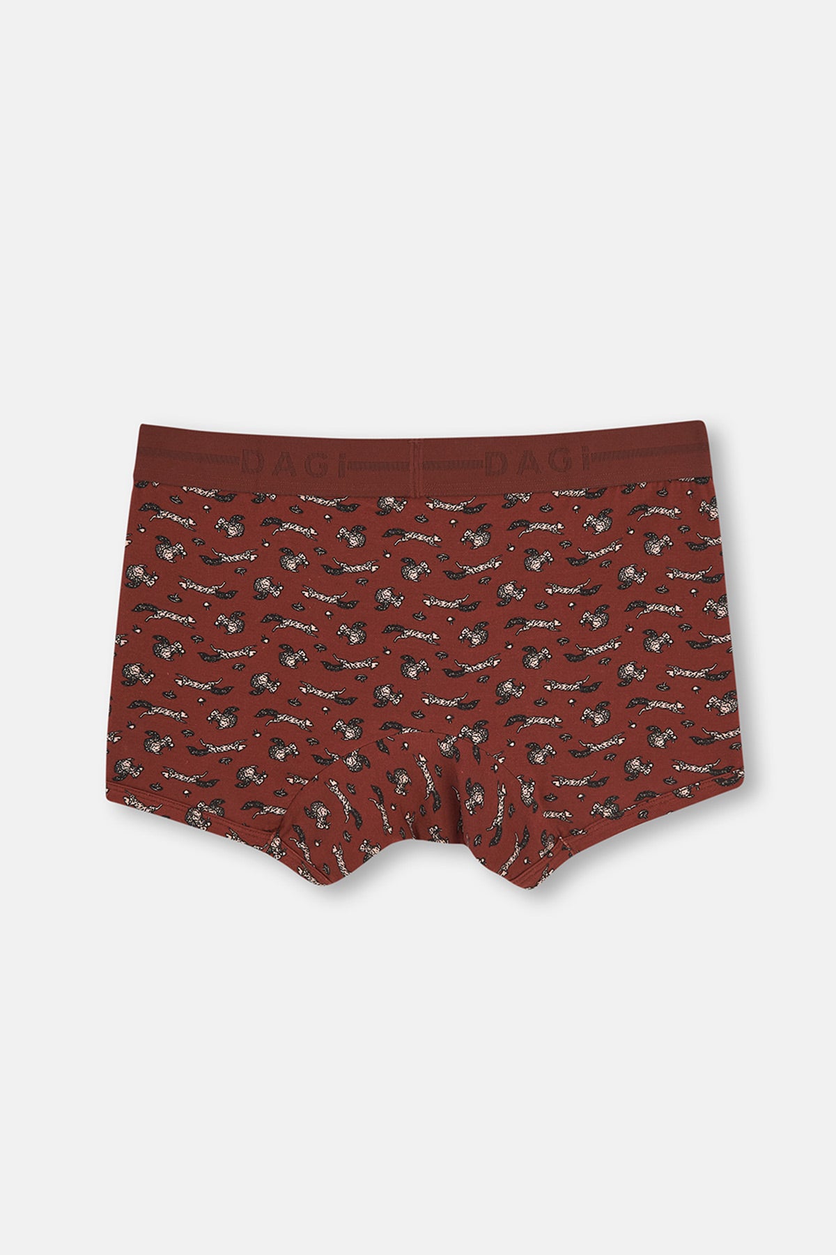TERRACOTTA BOXER