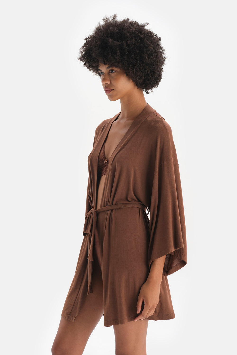 BROWN ROBE