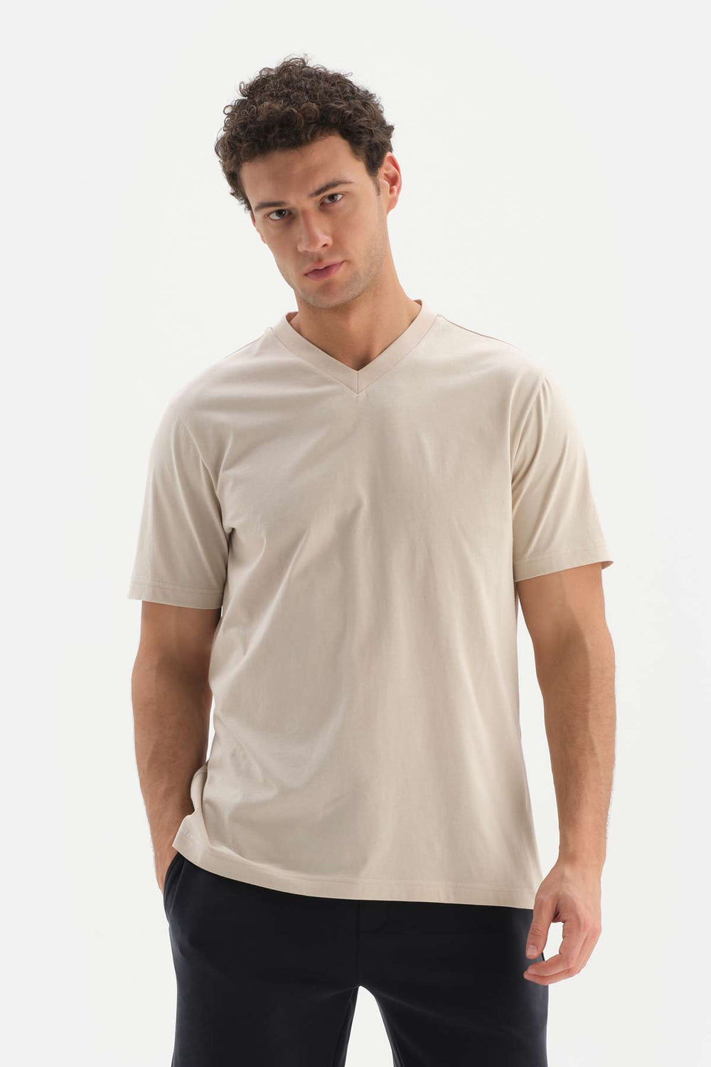BEIGE V-NECK BASIC SUPIMA T-SHIRT