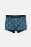 TEAL BOXER