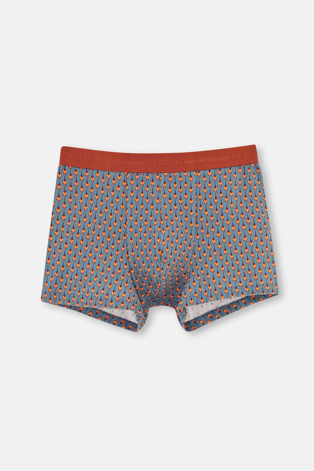 BLUE BOXER