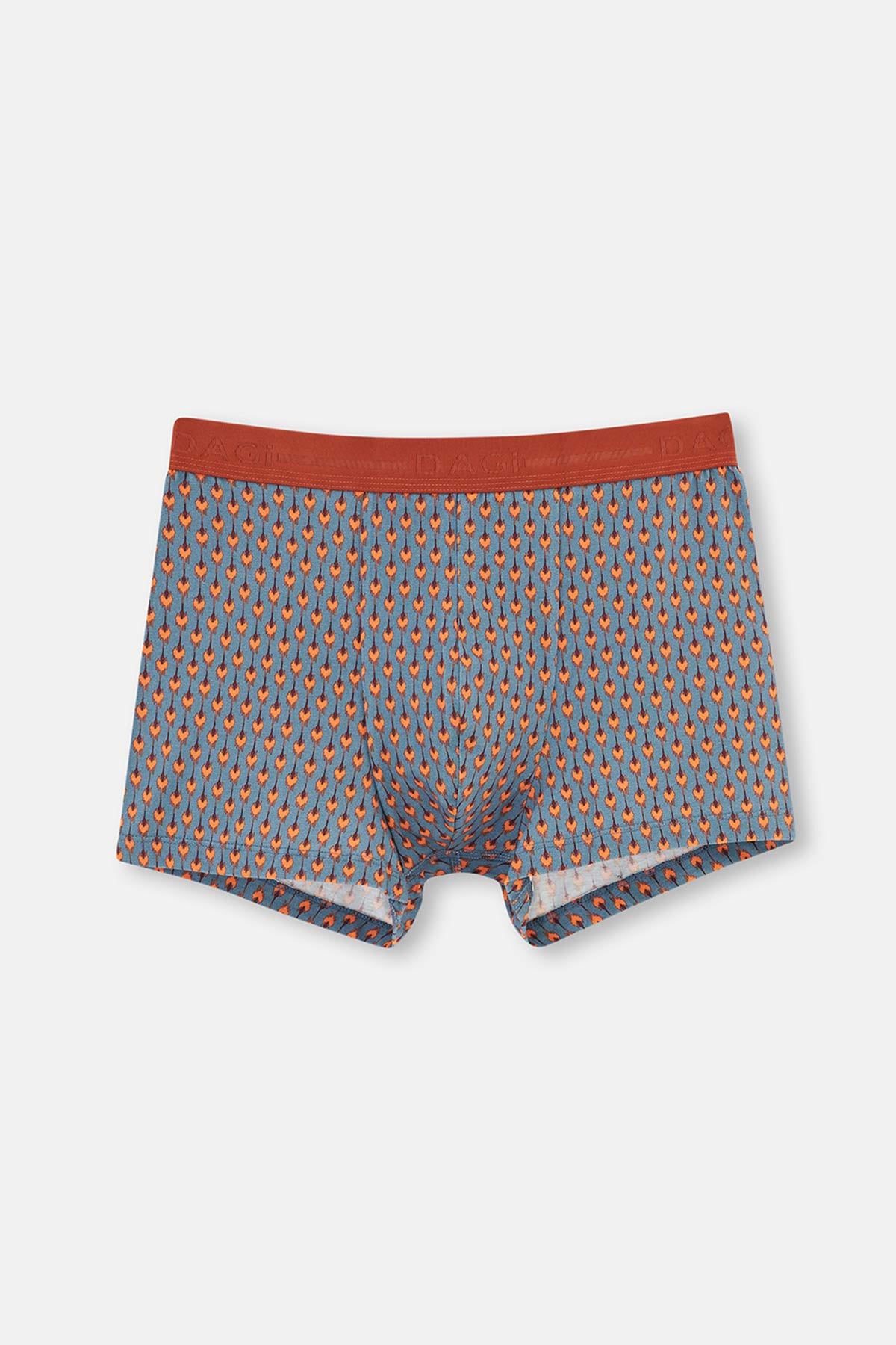 BLUE BOXER