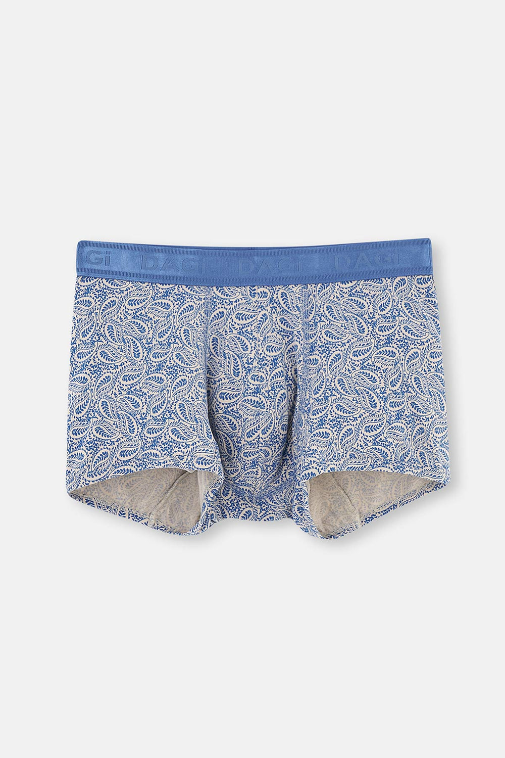 BLUE BOXER