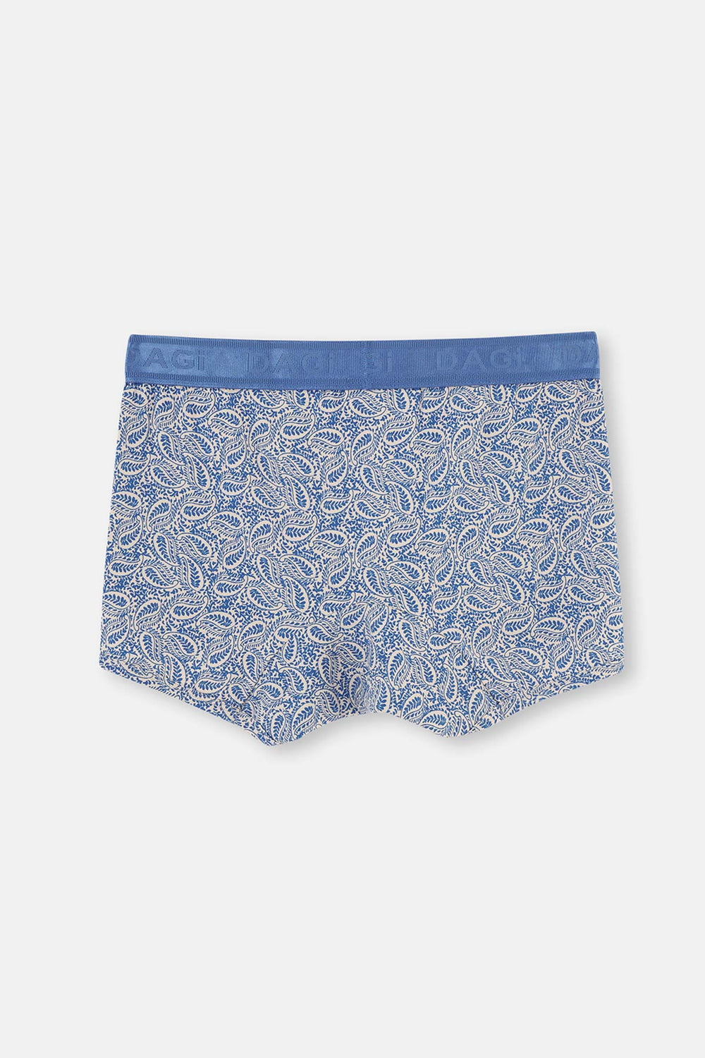 BLUE BOXER