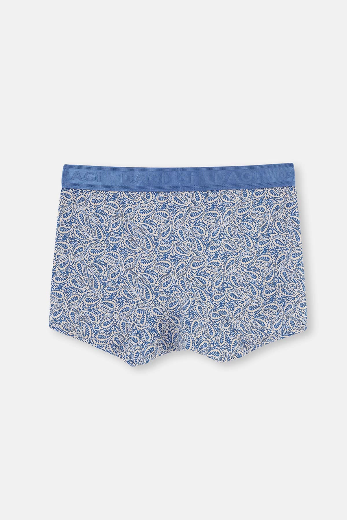 BLUE BOXER