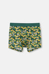 GREEN BOXER