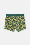 GREEN BOXER