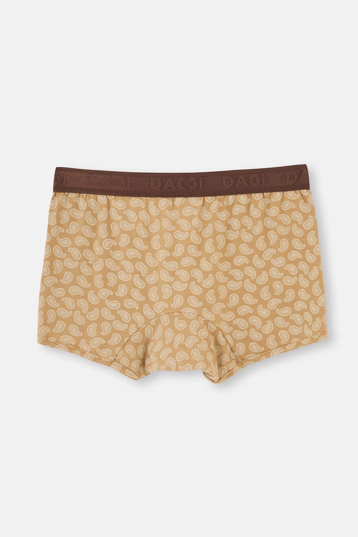 Brown BOXER