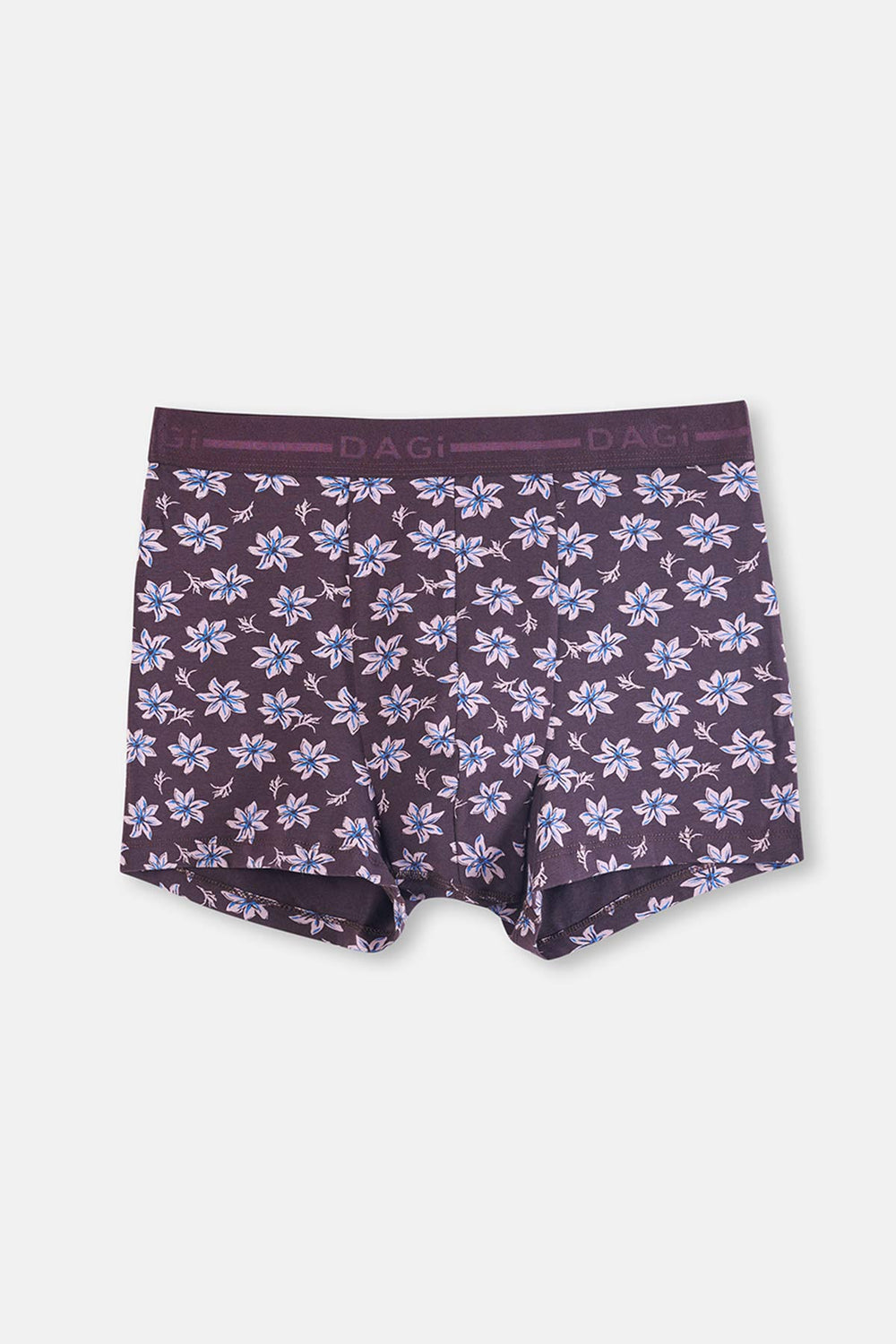 Brown BOXER