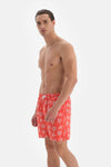 SALMON SHORTS