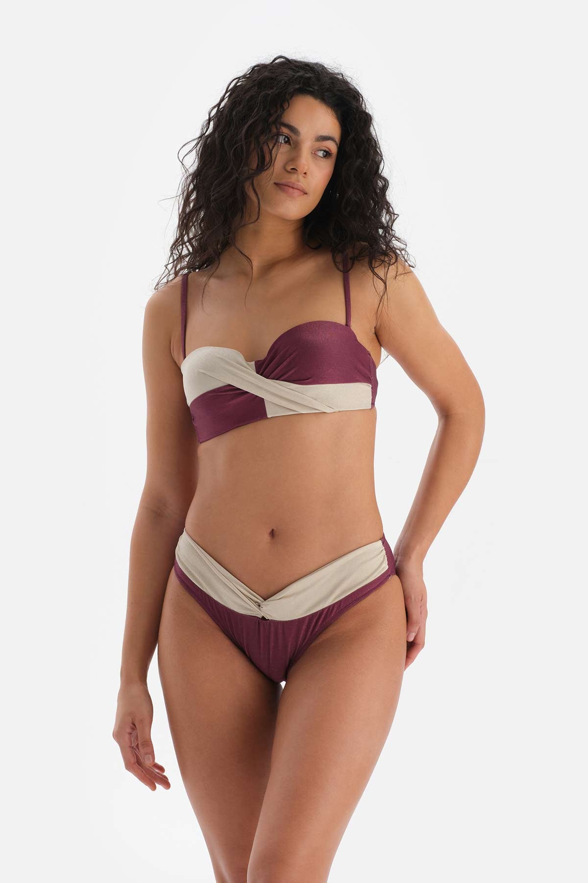BORDEAUX BIKINI BOTTOM