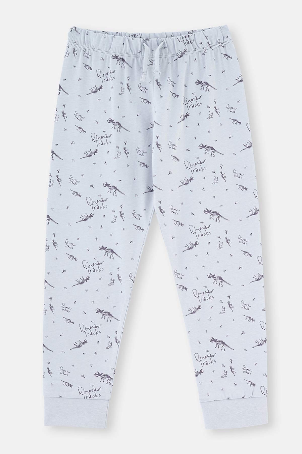 Blue DINOSAUR PRINTED LONG SLEEVE PAJAMA SUIT