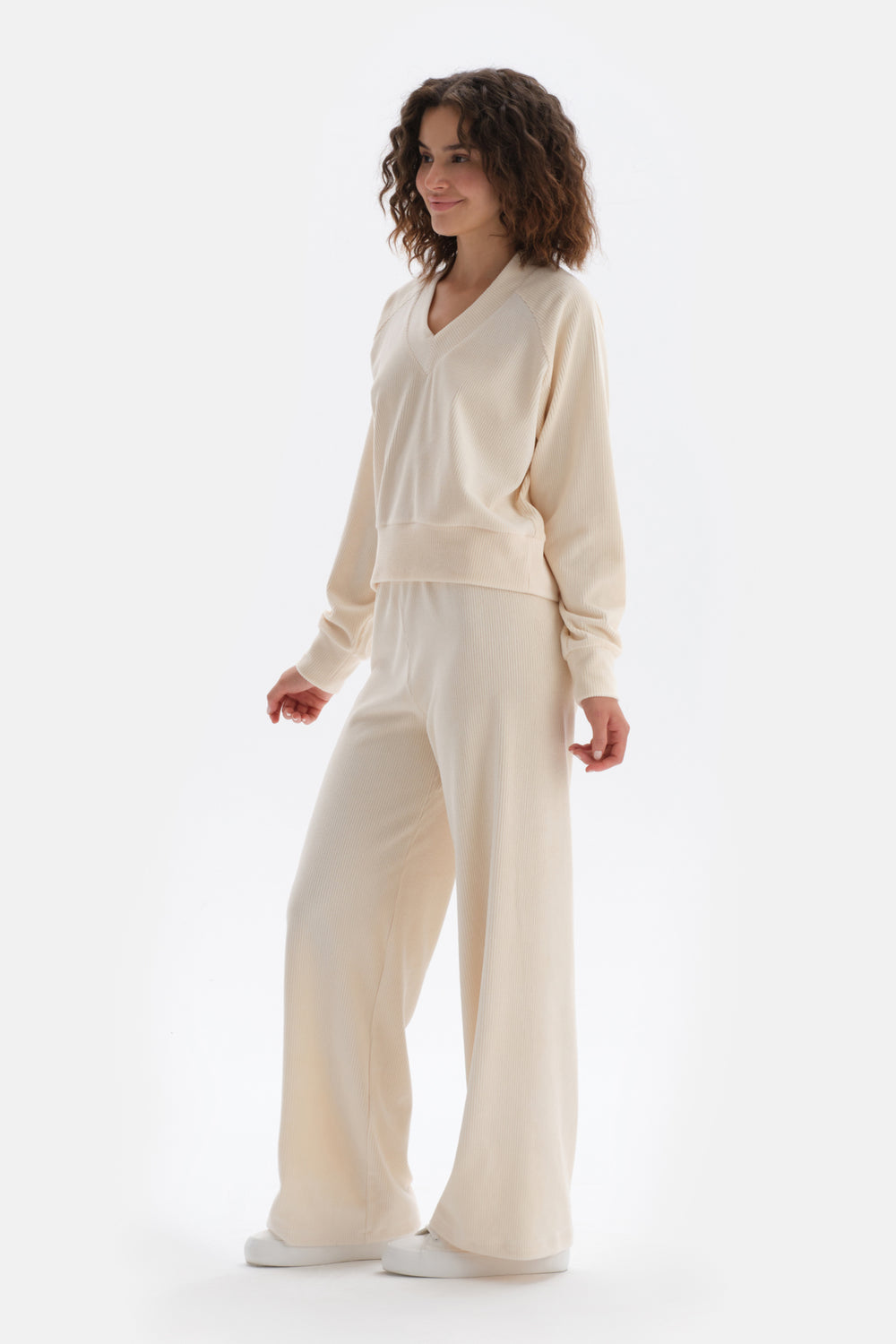Ecru V-NECK REGLAN SLEEVE VELVET SWEATSHIRT