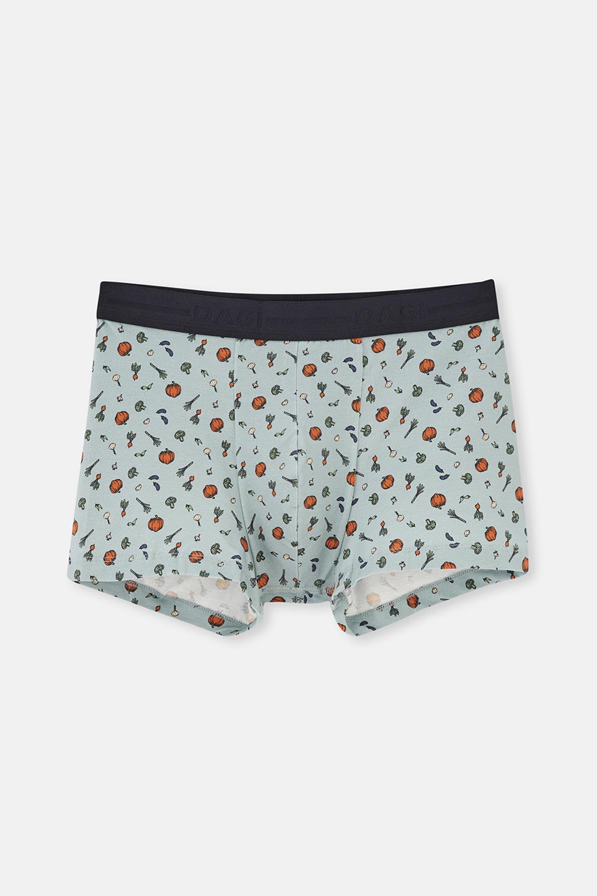 Gray Blue 5210 PATTERNED COTTON BOXER