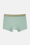 Light Khaki-Light Blue 4210 2-PACK PATTERNED MICRO MODAL BOXER