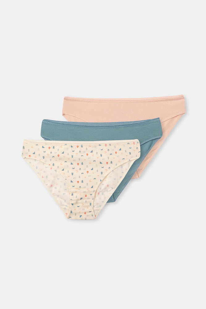 Ecru-Gray Blue-Powder 3-PACK PATTERNED BRIEF PANTIES