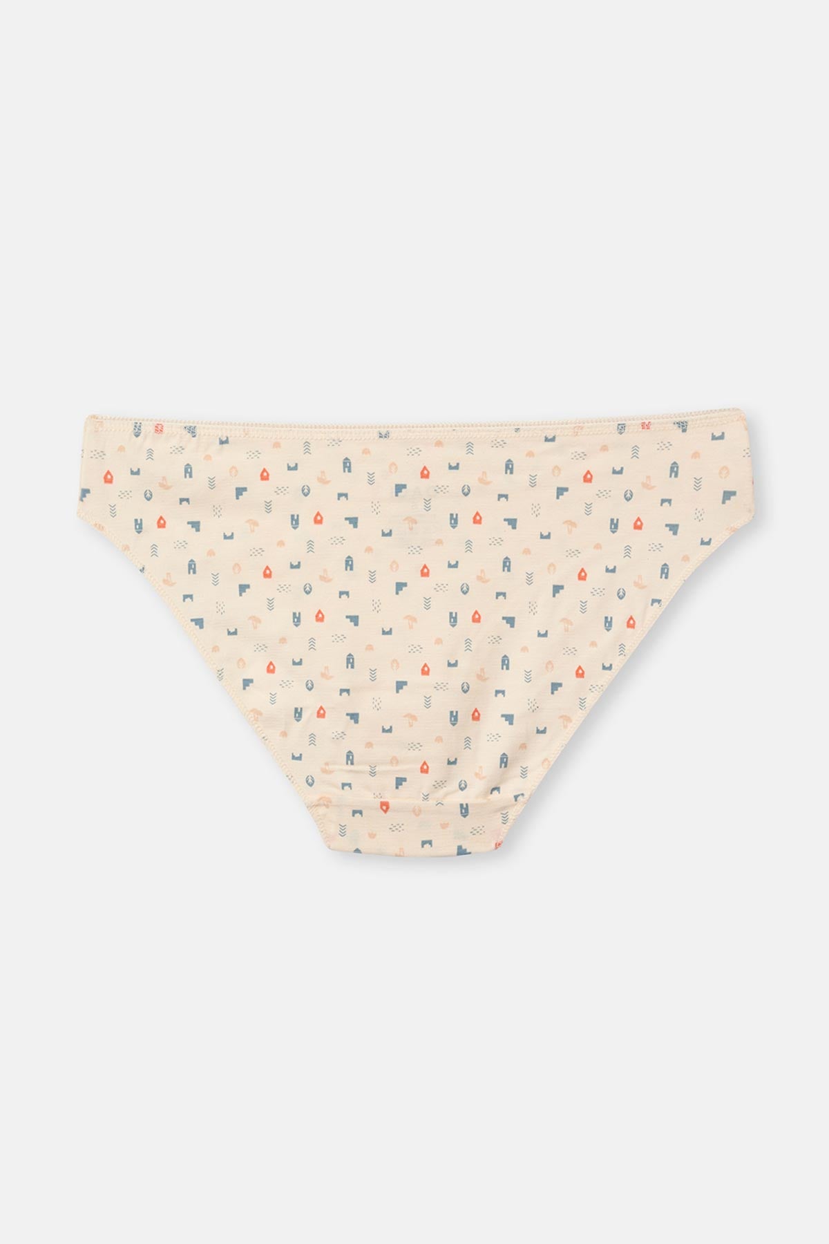 Ecru-Gray Blue-Powder 3-PACK PATTERNED BRIEF PANTIES